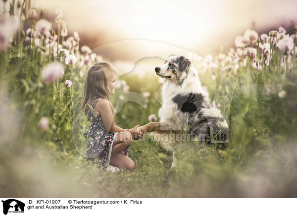 Mdchen und Australian Shepherd / girl and Australian Shepherd / KFI-01907