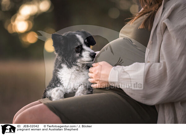 Schwangere und Australian Shepherd / pregnant woman and Australian Shepherd / JEB-02042