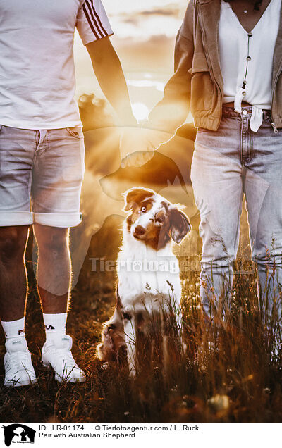 Paar mit Australian Shepherd / Pair with Australian Shepherd / LR-01174