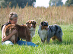 woman with Australian Shepherds