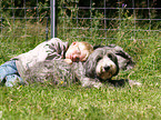 boy with dogs