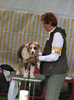 dog show