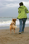 woman and australian shepherd