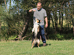 Australian Shepherd at Dog Dancing