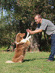 Australian Shepherd at Dog Dancing