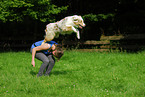 australian shepherd shows Trick