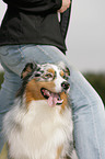 dogdance with Australian Shepherd