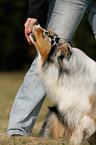dogdance with Australian Shepherd