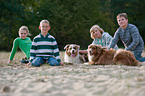 kids with Australian Shepherds