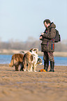 man and 3 Australian Shepherd