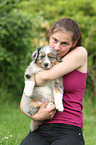 Australian Shepherd Puppy