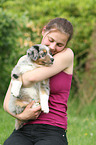 Australian Shepherd Puppy