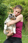 Australian Shepherd Puppy
