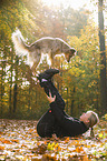 standing Australian Shepherd