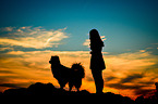 woman and Australian Shepherd