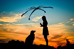 woman and Australian Shepherd