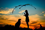 woman and Australian Shepherd