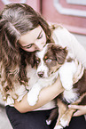 Australian Shepherd Puppy