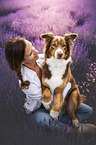 female Australian Shepherd