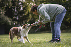 Australian Shepherd at dog sport