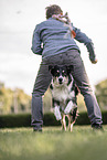 Australian Shepherd at dog sport