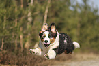 Australian Shepherd