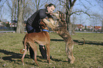 woman feeds dogs