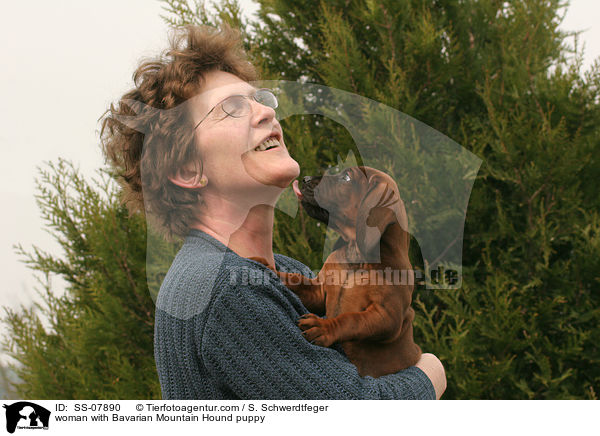 Frau mit Bayerischer Gebirgsschweihund Welpe / woman with Bavarian Mountain Hound puppy / SS-07890
