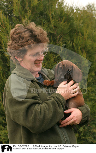 Frau mit Bayerischer Gebirgsschweihund Welpe / woman with Bavarian Mountain Hound puppy / SS-07892