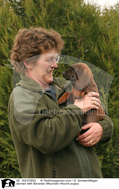 woman with Bavarian Mountain Hound puppy / SS-07893