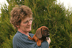 woman with Bavarian Mountain Hound puppy