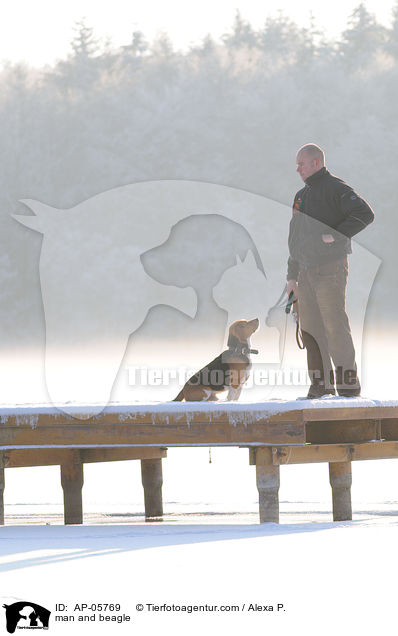 man and beagle / AP-05769