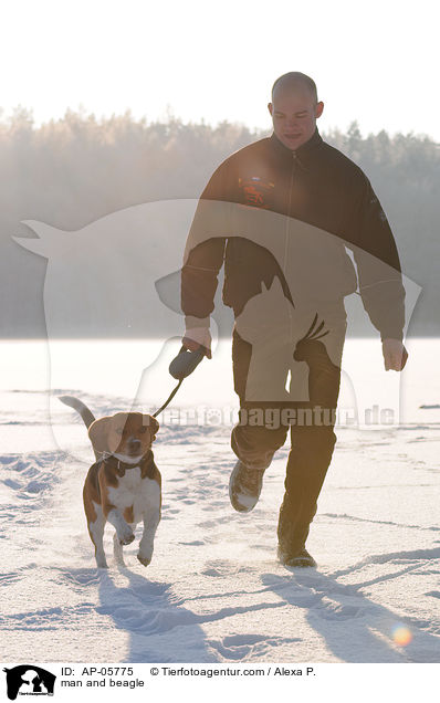 Mann und Beagle / man and beagle / AP-05775
