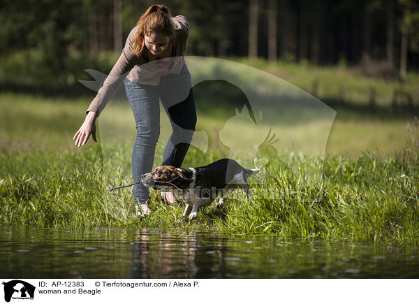 Frau und Beagle / woman and Beagle / AP-12383