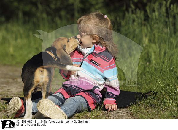 Mdchen und junger Beagle / girl and young Beagle / DG-08641