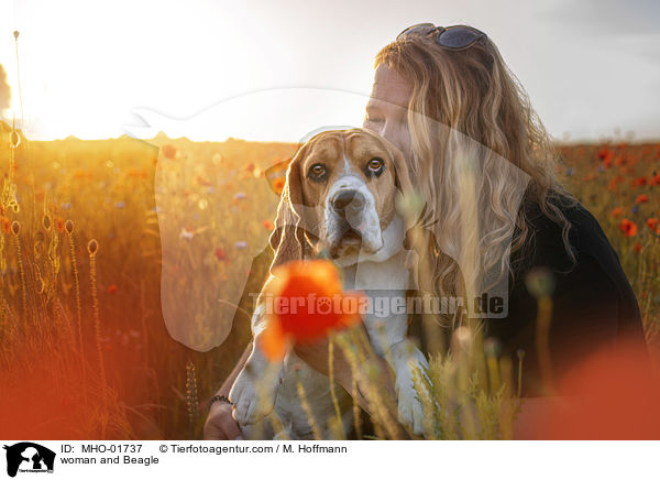 Frau und Beagle / woman and Beagle / MHO-01737