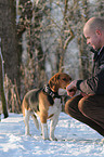 man and beagle