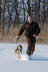 man and beagle