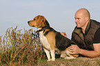 man and Beagle