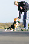 man and Beagle