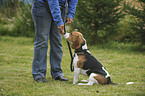 woman with Beagle