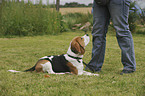 woman with Beagle