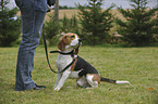 woman with Beagle