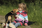 girl and young Beagle