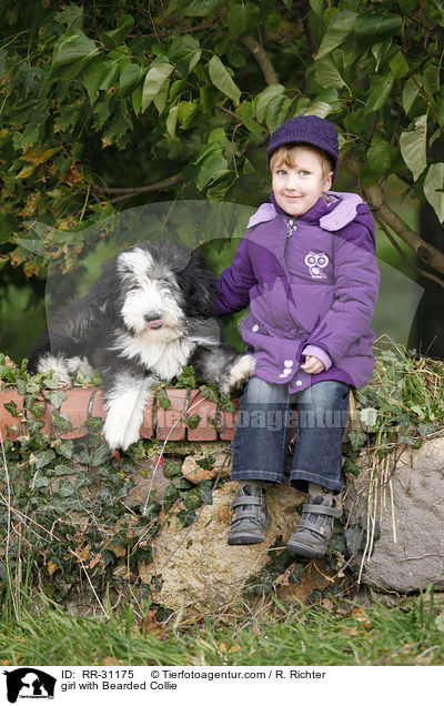Mdchen mit Bearded Collie / girl with Bearded Collie / RR-31175