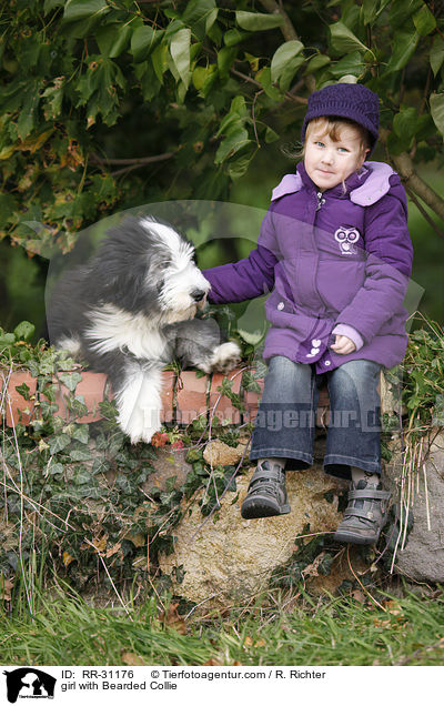 Mdchen mit Bearded Collie / girl with Bearded Collie / RR-31176
