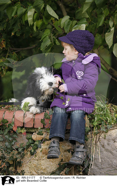 Mdchen mit Bearded Collie / girl with Bearded Collie / RR-31177