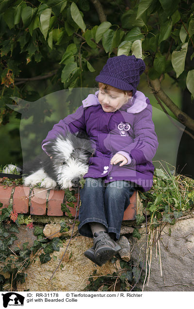 Mdchen mit Bearded Collie / girl with Bearded Collie / RR-31178