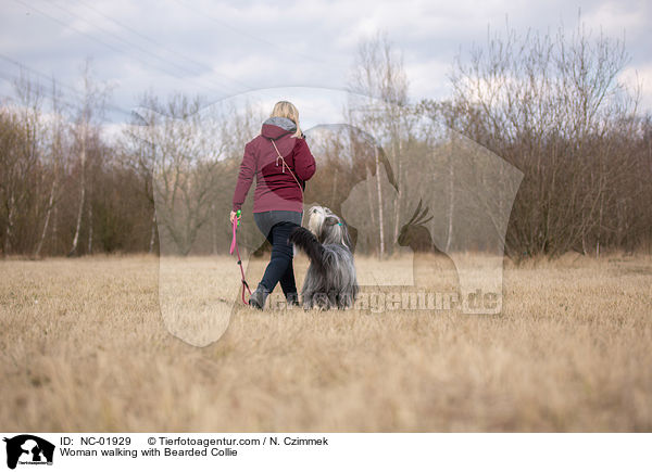 Frau geht mit Bearded Collie spazieren / Woman walking with Bearded Collie / NC-01929