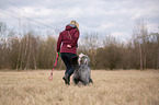 Woman walking with Bearded Collie